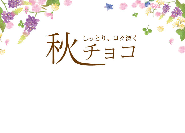 しっとり、コク深く  秋チョコ