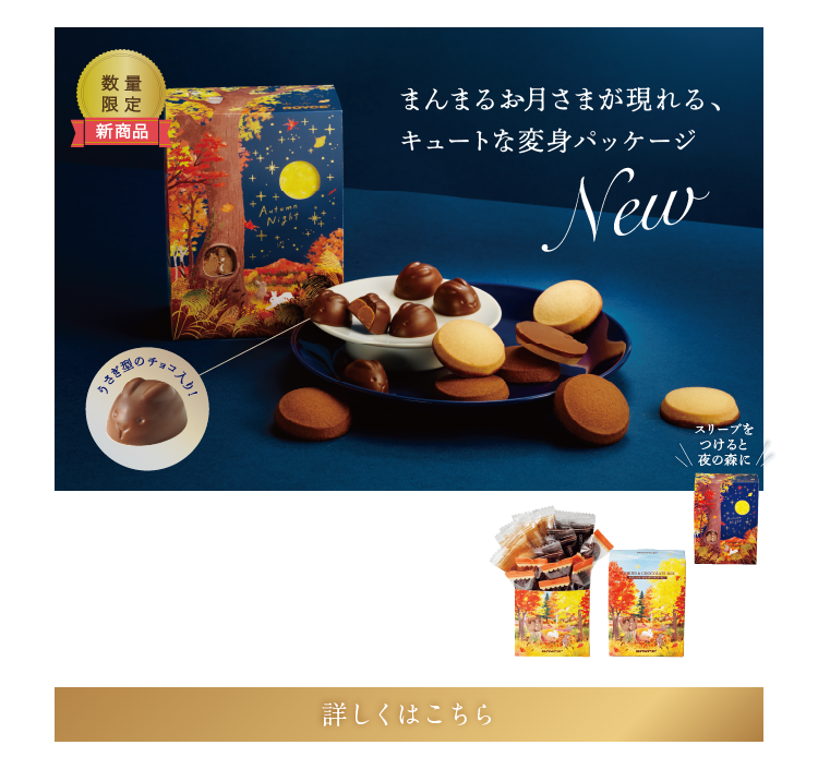クッキー＆チョコボックス[オータム] イメージ